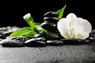 绍兴spa按摩更是一种独特的休闲娱乐方式