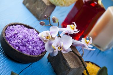 绍兴按摩spa养生带你感受与众不同的魅力